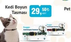 Froggo Kedi Boyun Tasması image