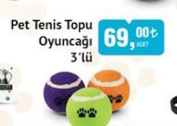 Froggo Pet Tenis Topu Oyuncağı 3'lü image