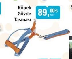 Froggo Köpek Gövde Tasması image