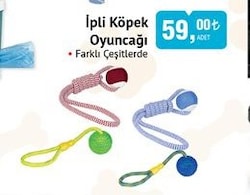 Froggo İpli Köpek Oyuncağı image