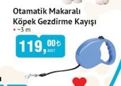 Froggo Otomatik Makaralı Köpek Gezdirme Kayışı image