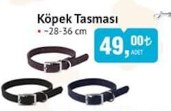 Froggo Köpek Tasması image