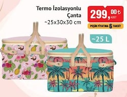 Termo İzolasyonlu Çanta 25 L image