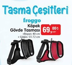 Froggo Köpek Gövde Tasması Çeşitleri image