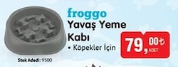 Froggo Köpekler İçin Yavaş Yeme Kabı image