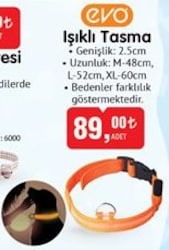 Evo Işıklı Tasma image