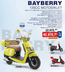 Skyjet Bayberry 125 cc Motosiklet Yeşil/Gri/Kırmızı image