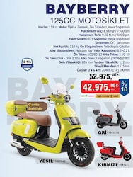 Skyjet Bayberry 125 cc Motosiklet image