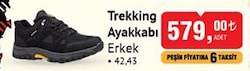 Trekking Ayakkabı Erkek image