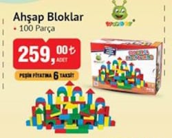 Woodoy Ahşap Bloklar 100 Parça image