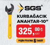 Sgs Kurbağacık Anahtar image