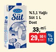 Dost %3,1 Yağlı Süt 1L image