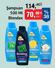 Blendax Şampuan 500ml image