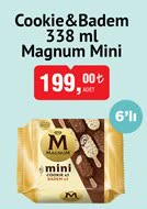 Magnum Mini image