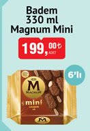 Magnum Mini Badem image