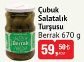 Berrak Çubuk Salatalık Turşusu 670g image