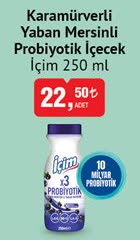 İçim Karamürverli Yaban Mersinli Probiyotik İçecek 250ml image
