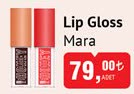 LOLZEY Lip Gloss ADET image