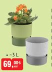 Saksı 3L image