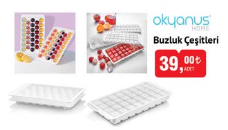 Okyanus Buzluk Çeşitleri image
