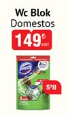 Wc Blok Domestos image