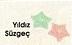 Yıldız Süzgeç image