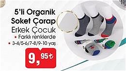 Comfort Family 5'li Organik Soket Çorap Erkek Çocuk image