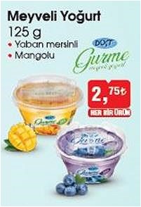 Dost Gurme Meyveli Yoğurt 125 g image