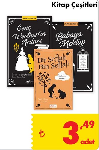 Kitap Çeşitleri/Adet image