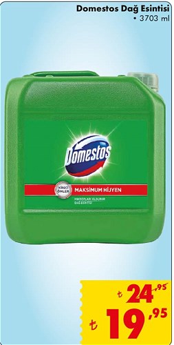 Domestos Dağ Esintisi 3703 ml image