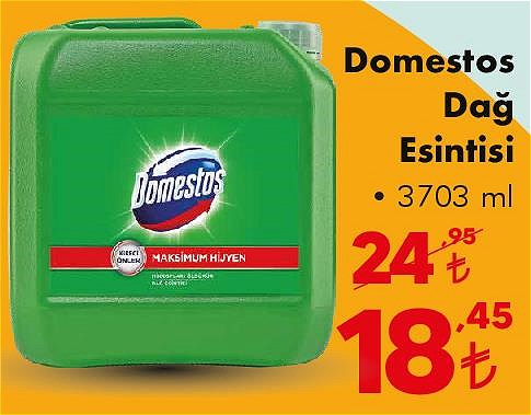 Domestos Dağ Esintisi 3703 ml image