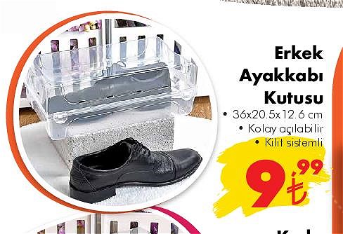 Erkek Ayakkabı Kutusu image