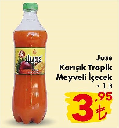 Juss Karışık Tropik Meyveli İçecek 1 lt image