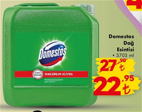 Domestos Dağ Esintisi 3703 ml image