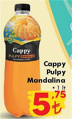 Cappy Pulpy Mandalina 1 lt image