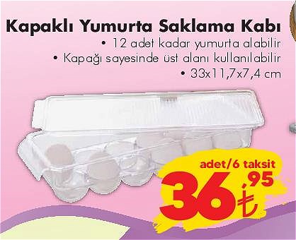 Kapaklı Yumurta Saklama Kabı 33x17,7x7,4 cm image