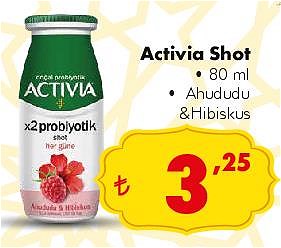 Activia Shot 80 ml Ahududu&Hibiskus image