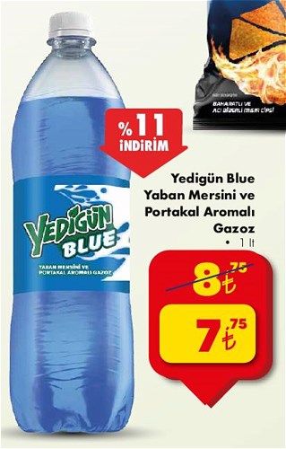 Yedigün Blue Yaban Mersini ve Portakal Aromalı Gazoz 1 lt image