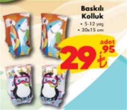 Bestway Baskılı Kolluk 5-12 yaş / 30x15 cm image