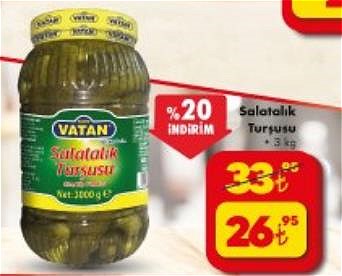 Vatan Salatalık Turşusu 3 kg image