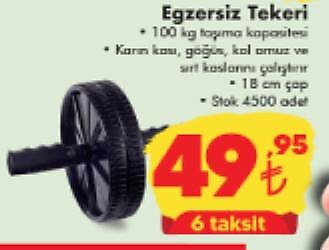 Egzersiz Tekeri 100 Kg Taşıma Kapasitesi image