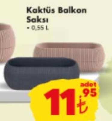 Kaktüs Saksı 0,55 L image