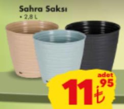 Sahra Saksı 2,8 L image