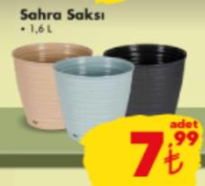 Sahra Saksı 1,6 L image