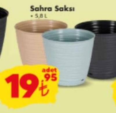 Sahra Saksı 5,8 L image