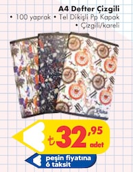 A4 Defter Çizgili 100 Yaprak Tel Dikişli Pp Kapak Çizgili/Kareli image