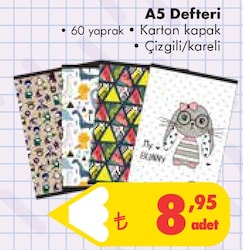 A5 Defteri 60 Yaprak Karton Kapak Çizgili/Kareli image