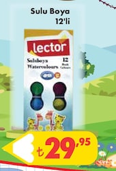 Lector Sulu Boya 12'li image