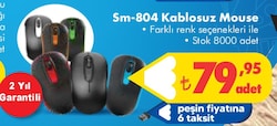 Everest Sm-804 Kablosuz Mouse image