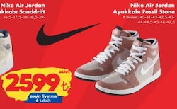 Nike Air Jordan Ayakkabı Fossil Stone image